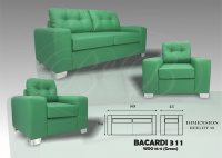 Model: BACARDI 311