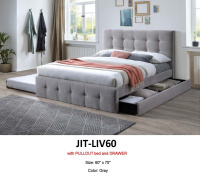 Model: JIT-LIV60 (60")