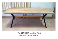 Model: TM-12A LIGHT