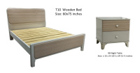 Model: T10 (60")