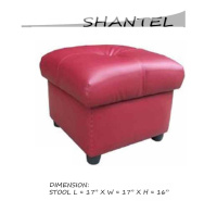 Model: SHANTEL