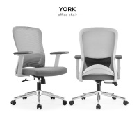 Model: YORK