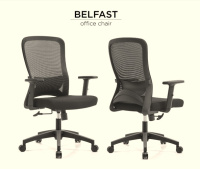 Model: BELFAST