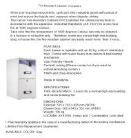 Model: FIRE RESISANT CABINET 2 DRAWERS