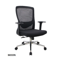 Model: MOON