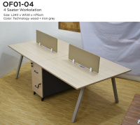Model: OF01-04