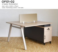 Model: OF01-02