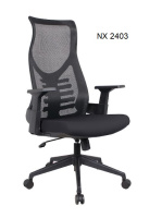 Model: NX 2403