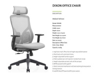 Model: DIXON