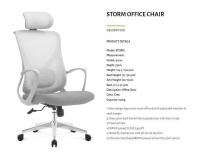 Model: STORM