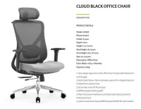 Model: CLOUD