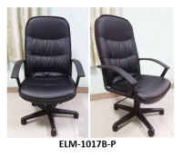 Model: ELM-1017B-P