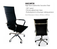 Model: 66G2JNT3X