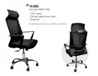 Model: YS 2913