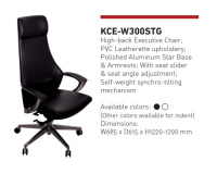 Model: KCE W300 STG