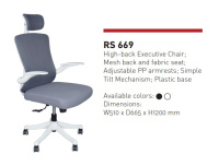 Model: RS669