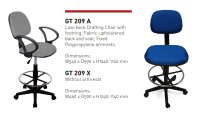 Model: GT 209