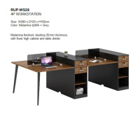 Model: RUP-WS28