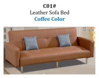 Model: C01