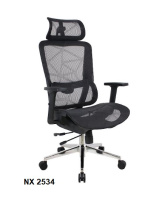 Model: NX 2534