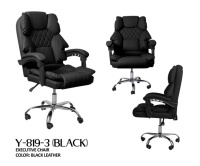 Moel: Y-819-3