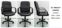 Model: EC 7002A-P
