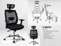 Model: C-BNH301