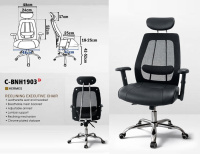 Model: C-BNH1903