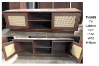 Model: TV-6699