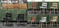 Model: BINS