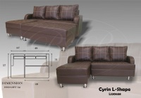 Model: CYRIN