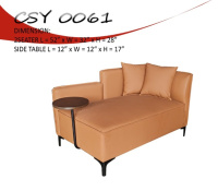 Model: CSY 0061