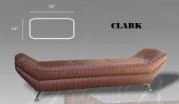 Model: CLARK
